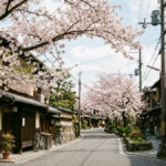 File name: Japanese-names-cherry-blossom.